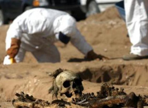 Hallan 684 cuerpos en fosas clandestinas de Veracruz. Noticias en tiempo real