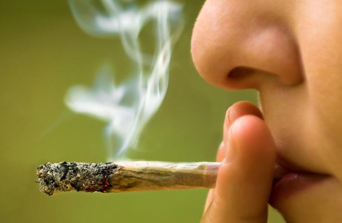 Niega la Suprema Corte despenalizar posesión de mariguana. Noticias en tiempo real