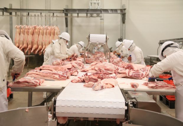 Llega a México primer cargamento de carne de cerdo de Alemania. Noticias en tiempo real