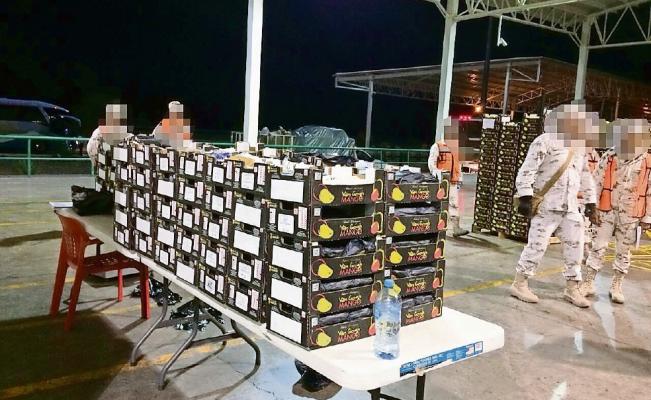 Decomisan en Sonora 249 kilos de droga oculta entre mangos. Noticias en tiempo real