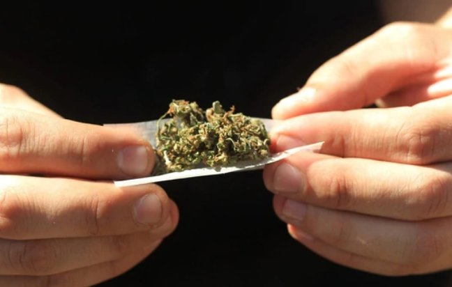Da luz verde la Corte a uso medicinal de la mariguana en CDMX. Noticias en tiempo real