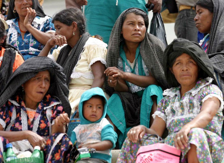 La conmemoración de la Década Internacional se deben construir estrategias de conservación: experto