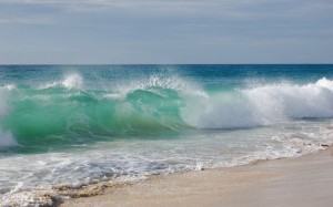OLAS