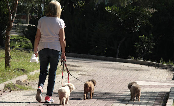 LEÓN, GUANAJUATO,05NOVIEMBRE2014. Se calcula que un perro mediano evacua 18kg de excremento al mes, mismo que al secarse se pulveriza y contamina lo que encuentre a su paso, generando infecciones por paracitos y daños en las vías respiratorias. Aunque existen en algunas ciudades reglamentos que obligan a los propietarios de perros a no dejar los excrementos de sus mascotas en la calle solo algunos dueños asisten a los parques y a la calle con bolsas o papel en mano para tirar a la basura los desechos de sus perros. FOTO: GERARDO M. GARCÍA /CUARTOSCURO.COM