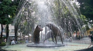 coyoacan-600x330