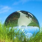 la-ecología-y-el-medio-ambiente.