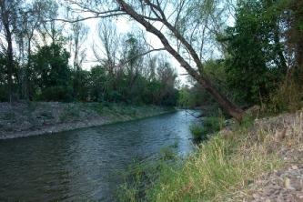 TEXTO INTEGRO: PROHIBICIÓN de PRIVATIZAR AGUA debe quedar en la CONSTITUCIÓN. Noticias en tiempo real