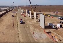 MURO FRONTERIZO de TRUMP pone en RIESGO a casi 400 especies de flora y fauna