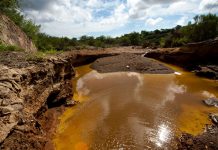Cerca de 1.400 MILLONES de personas viven en zonas contaminadas por METALES PESADOS TÓXICOS