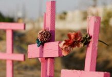 SENADO recibirá propuestas ciudadanas y de especialistas para la iniciativa de FEMINICIDIO