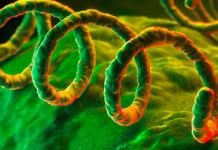 Las ITS, el fenómeno prepandémico que produce una INFECCIÓN de TRANSMISIÓN SEXUAL cada tres segundos en el MUNDO