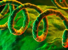 Las ITS, el fenómeno prepandémico que produce una INFECCIÓN de TRANSMISIÓN SEXUAL cada tres segundos en el MUNDO