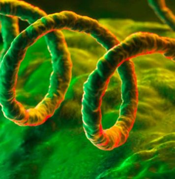 ITS, el FENÓMENO prePANDÉMICO que produce Un CONTAGIO SEXUAL cada Tres Segundos alrededor del PLANETA