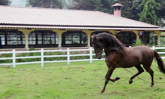 Inflación en caballo de hacienda, 4.88% en primera quincena de septiembre. Noticias en tiempo real