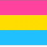BANDERA-PANSEXUAL