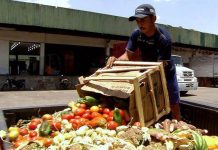 En CDMX se desperdician 731 TONELADAS diarias de ALIMENTOS en los domicilios