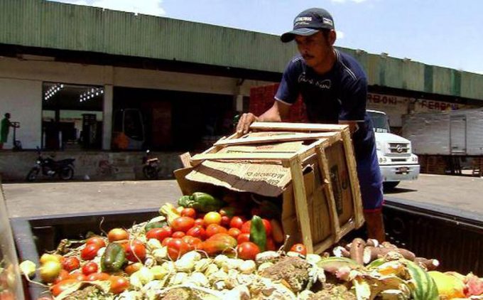 DESAPROVECHA MÉXICO unas 20 millones de toneladas de ALIMENTOS. Noticias en tiempo real