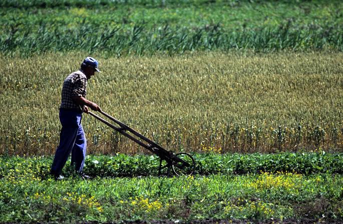 Iniciativa de ley agraria “permite el despojo de territorios indígenas”. Noticias en tiempo real