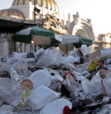 En CDMX se generan +12 MIL TONELADAS de BASURA; Mundial de FUTBOL elevará los RESIDUOS