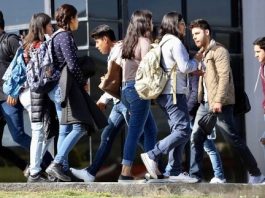 TEXTO ÍNTEGRO: Uno de cada 3 DESEMPLEADOS en el MUNDO son JOVENES; Tasa de DESOCUPACIÓN llegó a 2.5% en MÉXICO