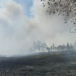 IMG-20190220-WA0020