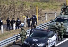 Operaciones contra líderes de CÁRTELES difícilmente debilitarán a las ORGANIZACIONES: Expertos