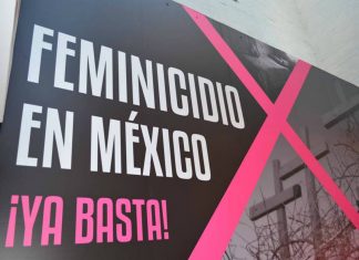 TEXTO ÍNTEGRO: PRESIDENCIA envía al SENADO la iniciativa de LEY contra FEMINICIDIO