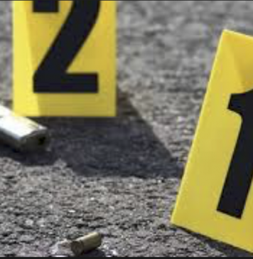 TEXTO ÍNTEGRO: MÉXICO acumula 225 HOMICIDIOS en 2026; de ellos, SINALOA es quien tiene Más CASOS