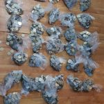IMG-20190530-WA0006
