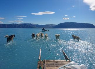 DESHIELO en el ÁRTICO avanza ritmo récord; PÉRDIDA del HIELO MARINO tiene IMPLICACIONES