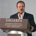 Enrique Martínez y Martínez