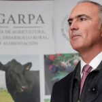 josé calzada rovirosa