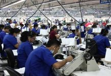 TEXTO ÍNTEGRO: EMPLEO FORMAL creció solo en 17 ESTADOS del PAÍS; expertos advierte ESTANCAMIENTO en el EMPLEO FORMAL