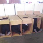 IMG-20200103-WA0016