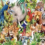 reino-animal-india-planeta-magnifico