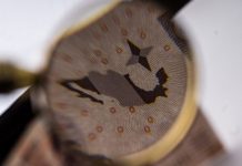 El PAÍS enfrenta un ESTANCAMIENTO que LIMITA la EXPANSIÓN ECONÓMICA