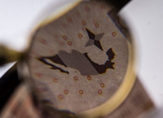 TEXTO ÍNTEGRO: POLÍTICAS COMERCIALES de EU y revisión de T-MEC limitan CRECIMIENTO