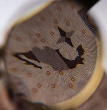 PRÓXIMA REVISIÓN del T- MEC es el PRINCIPAL ‘Foco de RIESGO’ para la Economía con SHEINBAUM