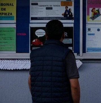 TEXTO ÍNTEGRO: ÍNDICES sobre DESEMPLEO de la OCDE se mantiene en 5%; MÉXICO registró la mayor CAÍDA en PLAZAS