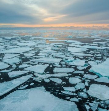 TEXTO ÍNTEGRO: Alerta, ÁRTICO se DERRITE y puede alterar la composición QUÍMICA del ÓCEANO