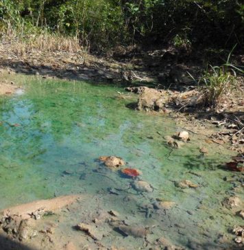 El AGUA SALADA está invadiendo gradualmente los ACUÍFEROS DULCES alrededor de todo el PLANETA