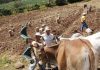 TEXTO ÍNTEGRO: Climáticoflación por las Altas Temperaturas aumenta el PRECIO de los ALIMENTOS