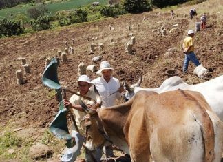 TEXTO ÍNTEGRO: Climáticoflación por las Altas Temperaturas aumenta el PRECIO de los ALIMENTOS