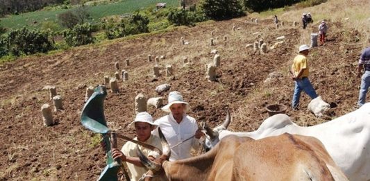 TEXTO ÍNTEGRO: Calentamiento GLOBAL ha incrementado INFLACIÓN (+)3% en ALIMENTOS