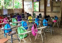 Los ESTADOS más REZAGADOS en EDUCACIÓN sobresalen en APRENDIZAJE; expertos dudan de CONFIABILIDAD de resultados