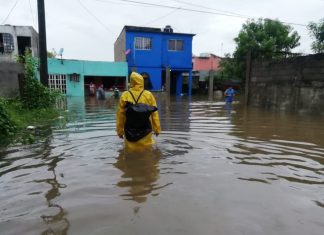 Las TEMPORADAS de HURACANES y LLUVIAS causan ENFERMEDADES desde BACTERIANAS hasta por VIRUS
