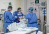 TEXTO ÍNTEGRO: Escases de MÉDICOS especializados en MÉXICO dificultan el ACCESO a la SALUD
