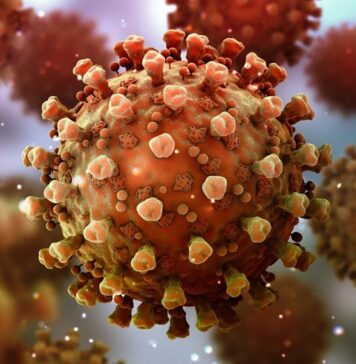 SuperGRIPA enciende ALARMAS en el MUNDO; ¿qué PAÍSES están en alerta por INFLUENZA H3N2?