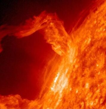 El SOL ya no muestra NI UNA sola MANCHA; expertos advierten cambios en el Campo MAGNÉTICO