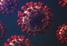 SALUD asegura que la INFLUENZA AH3N2 no representa un RIESGO para MÉXICO